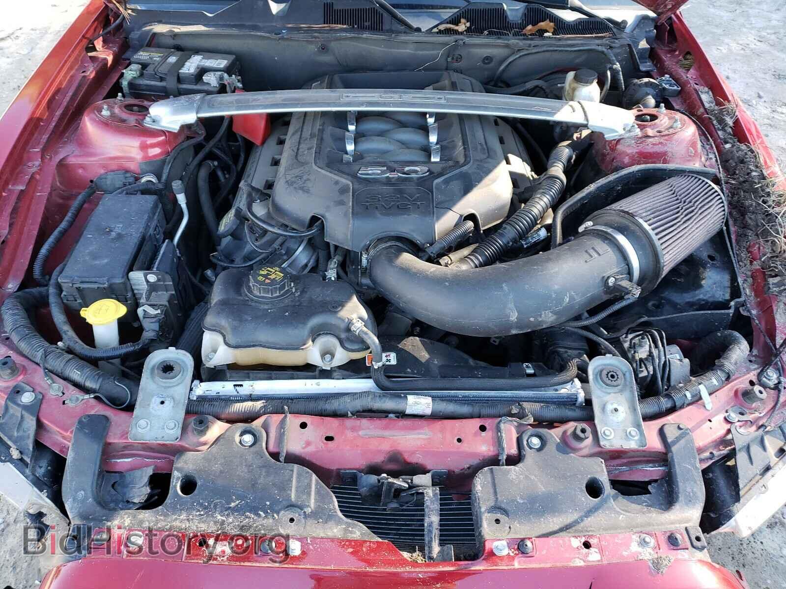 2013 FORD MUSTANG - VIN: 1ZVBP8CF4D5277646 - Фото 7