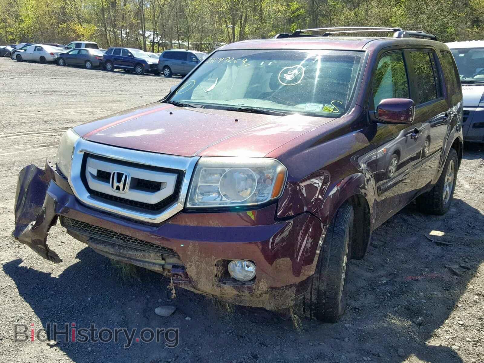 2011 HONDA PILOT EXL - VIN: 5FNYF4H59BB065345 - Фото 2