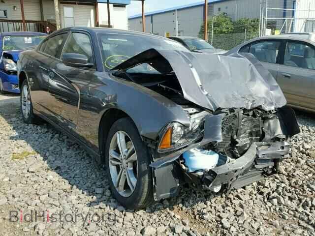 Photo 2C3CDXDT6DH671421 - DODGE CHARGER 2013