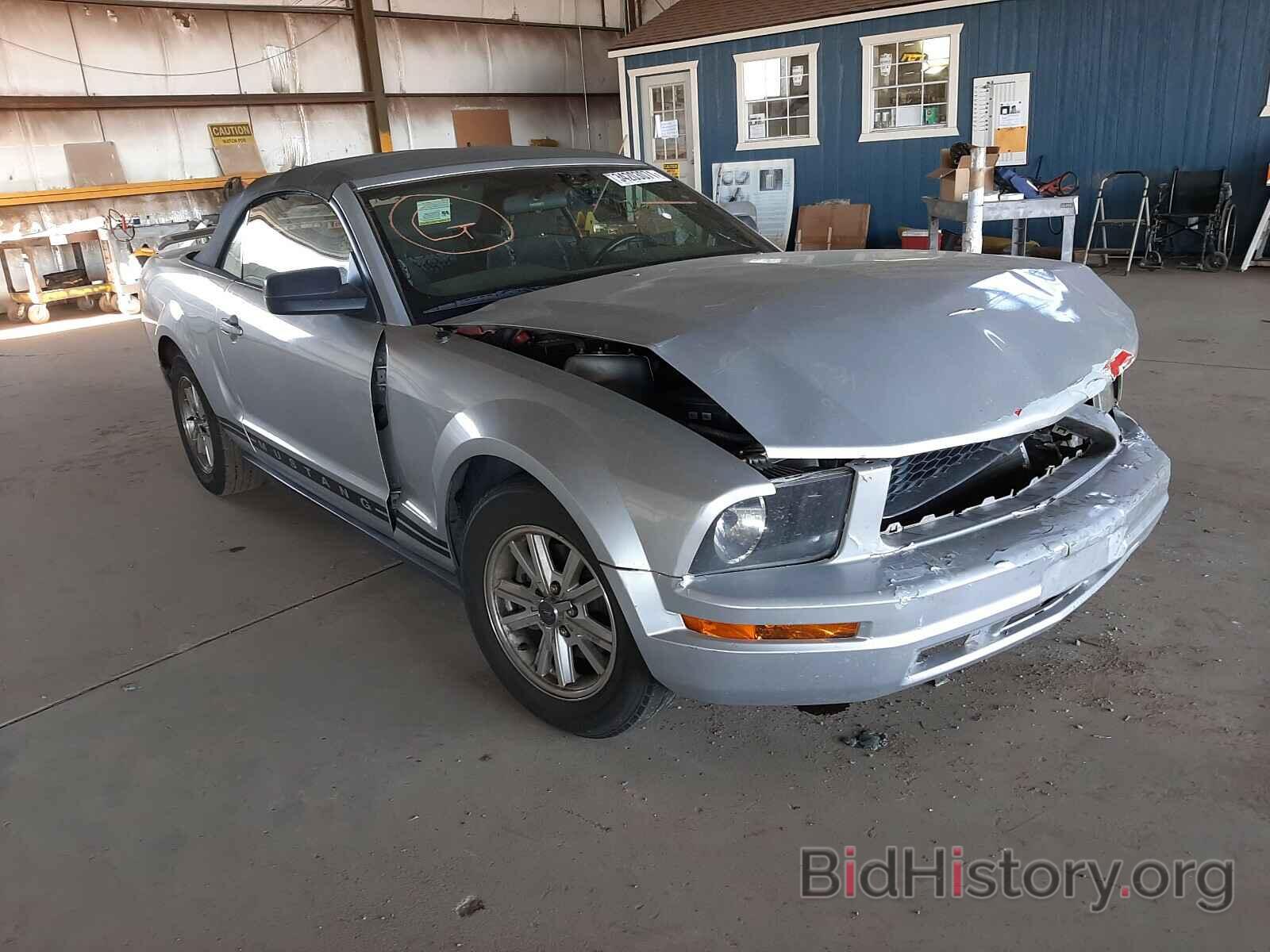 Photo 1ZVHT84N365259296 - FORD MUSTANG 2006