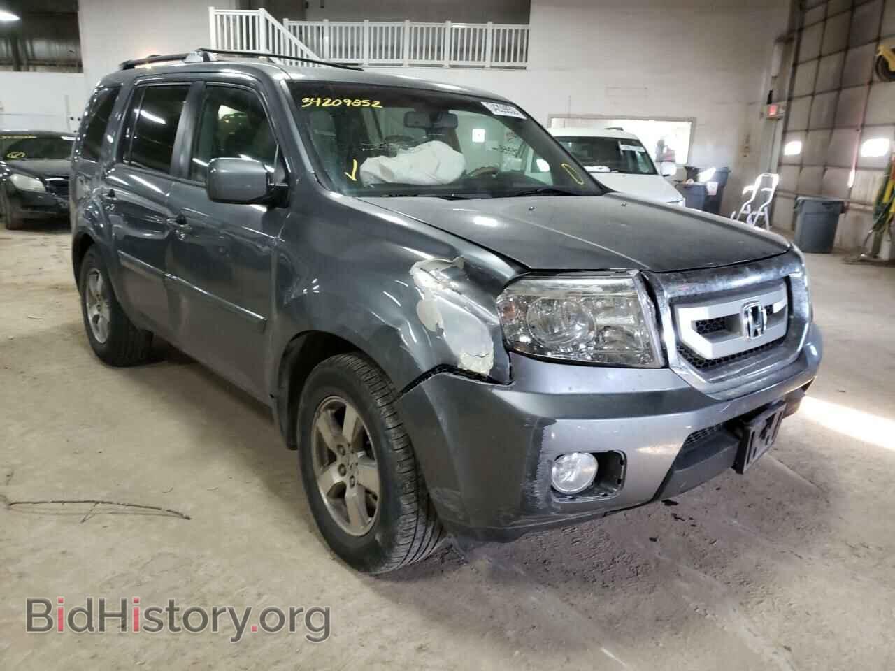 Фотография 5FNYF48619B018877 - HONDA PILOT 2009