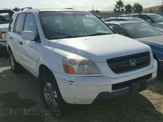 Фотография 2HKYF18525H552150 - HONDA PILOT 2005