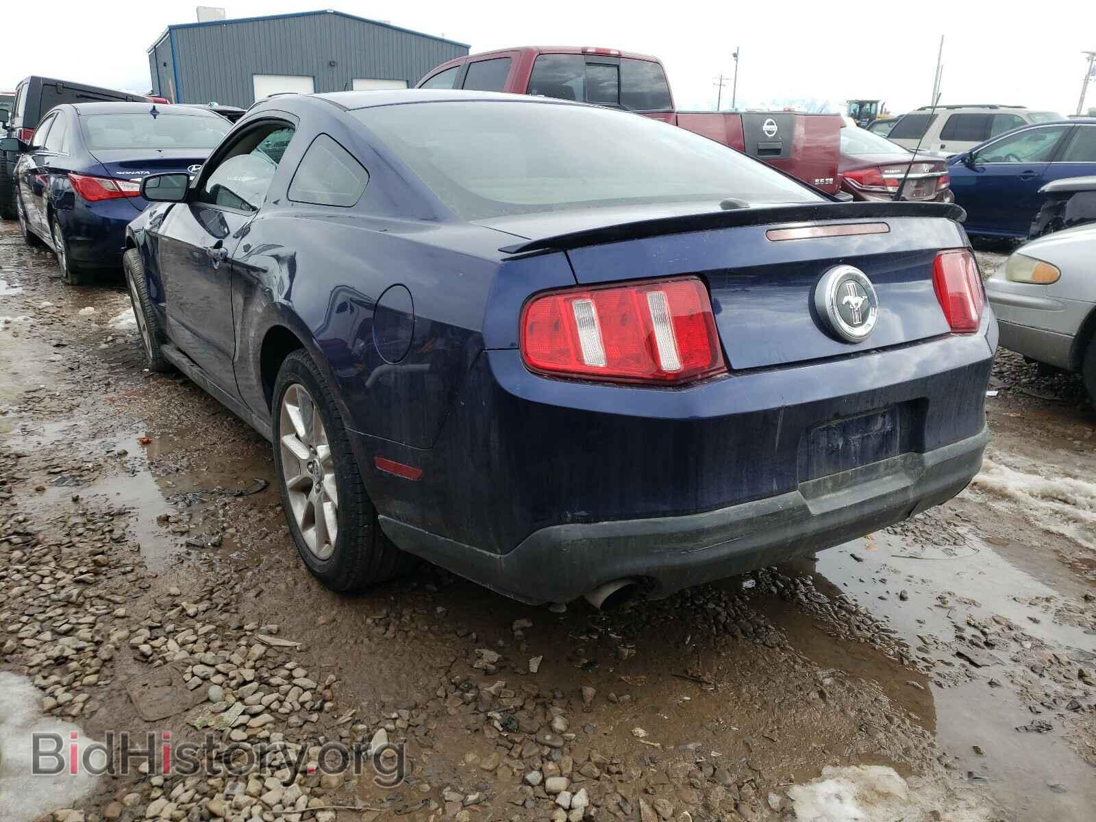 2011 FORD MUSTANG - VIN: 1ZVBP8AM9B5156352 - Фото 3