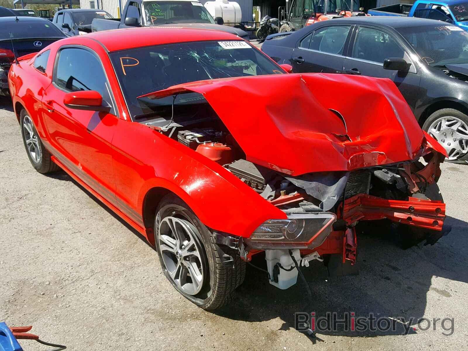 Photo 1ZVBP8AM3E5217957 - FORD MUSTANG 2014