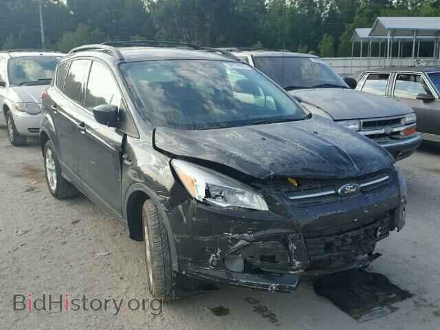 Фотография 1FMCU0GX4DUA16619 - FORD ESCAPE 2013