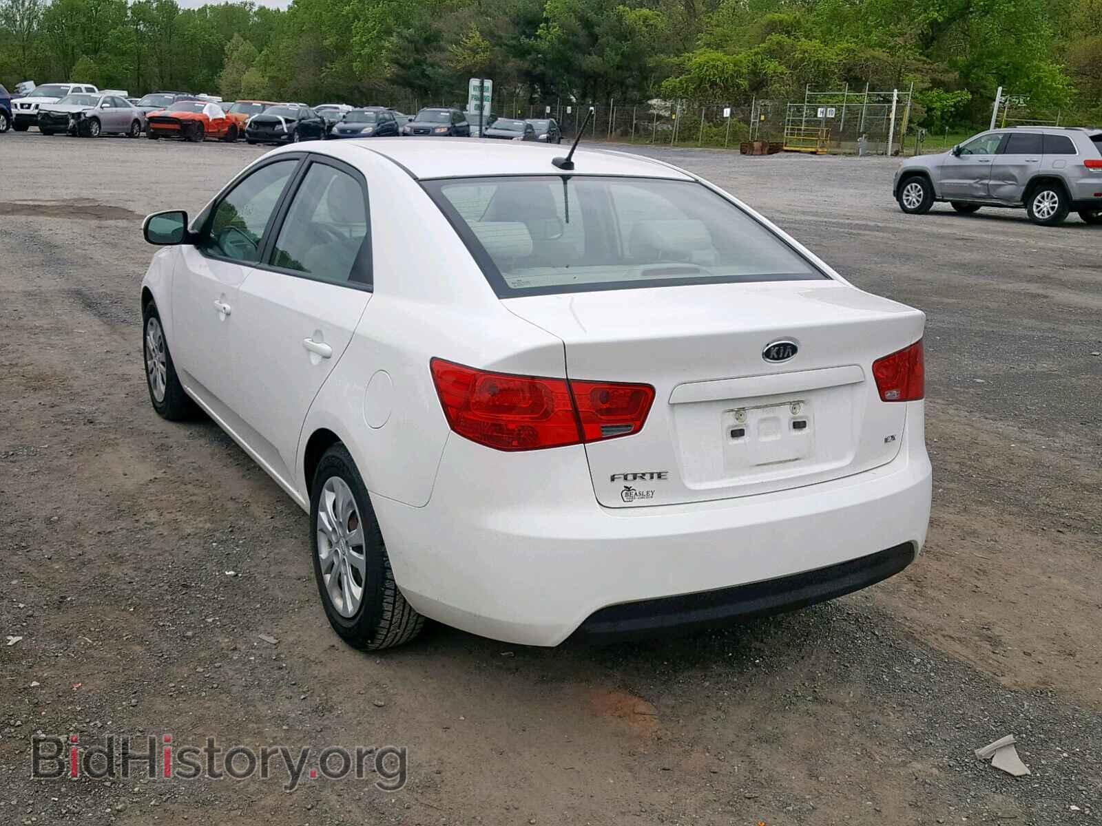 2011 KIA FORTE - VIN: KNAFU4A25B5458951 - Фото 3