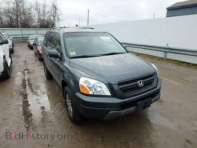 Фотография 5FNYF18415B007451 - HONDA PILOT 2005