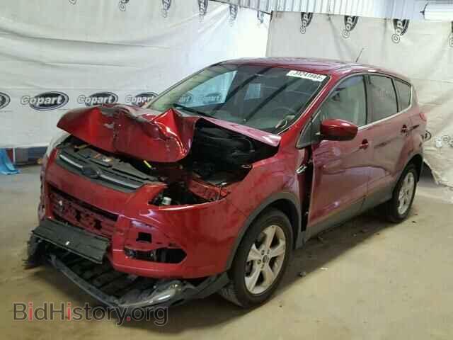 2013 FORD ESCAPE - VIN: 1FMCU0G96DUC26334 - Фото 2