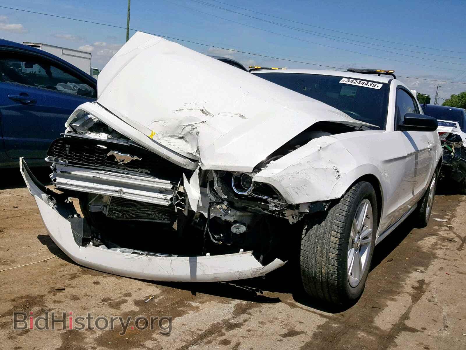 2014 FORD MUSTANG - VIN: 1ZVBP8AM8E5311607 - Фото 2
