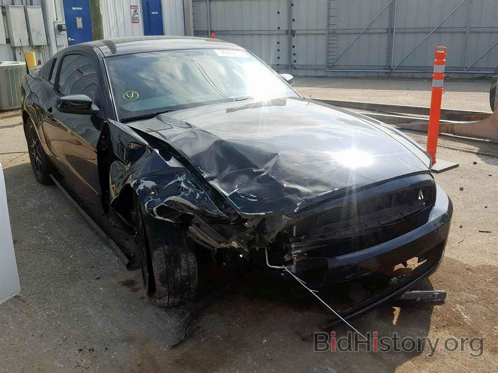 Photo 1ZVBP8AM6E5324534 - FORD MUSTANG 2014