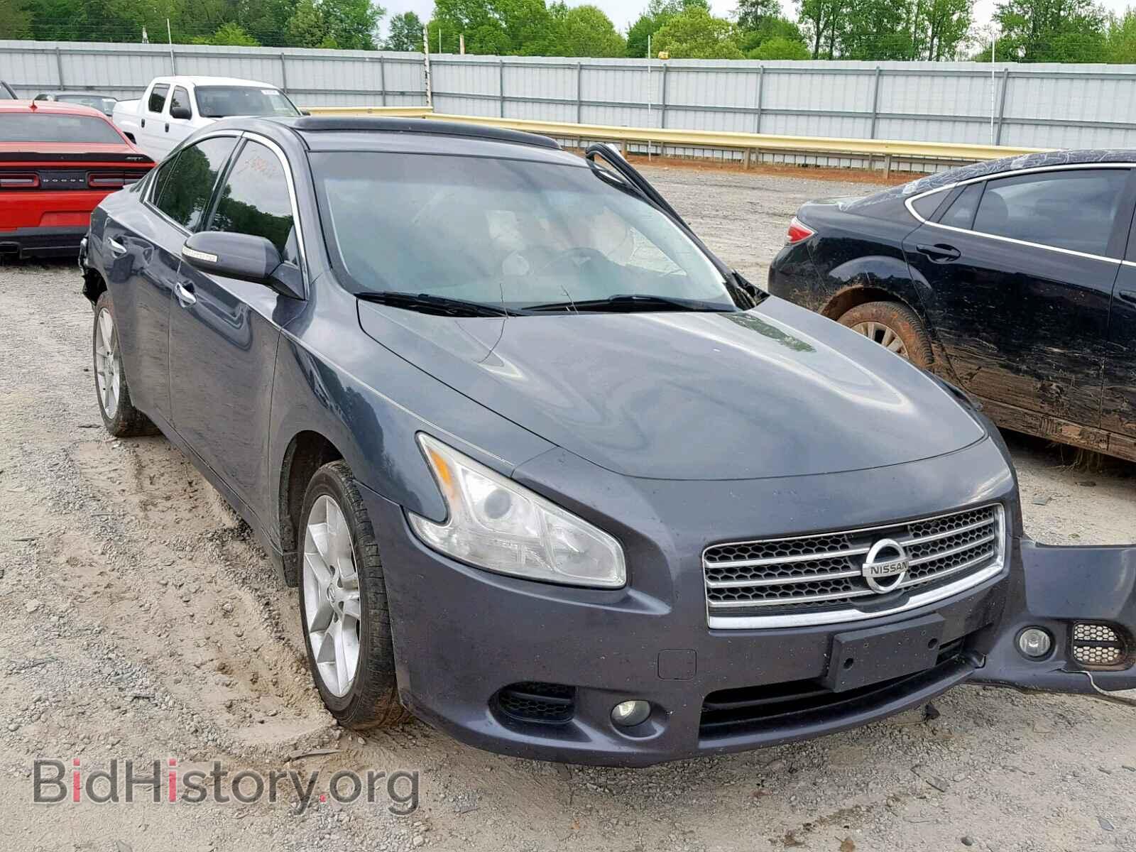 Photo 1N4AA5AP0BC809614 - NISSAN MAXIMA S 2011