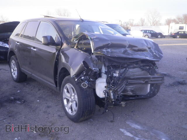 Фотография 2FMDK3JC7BBA80951 - FORD EDGE 2011