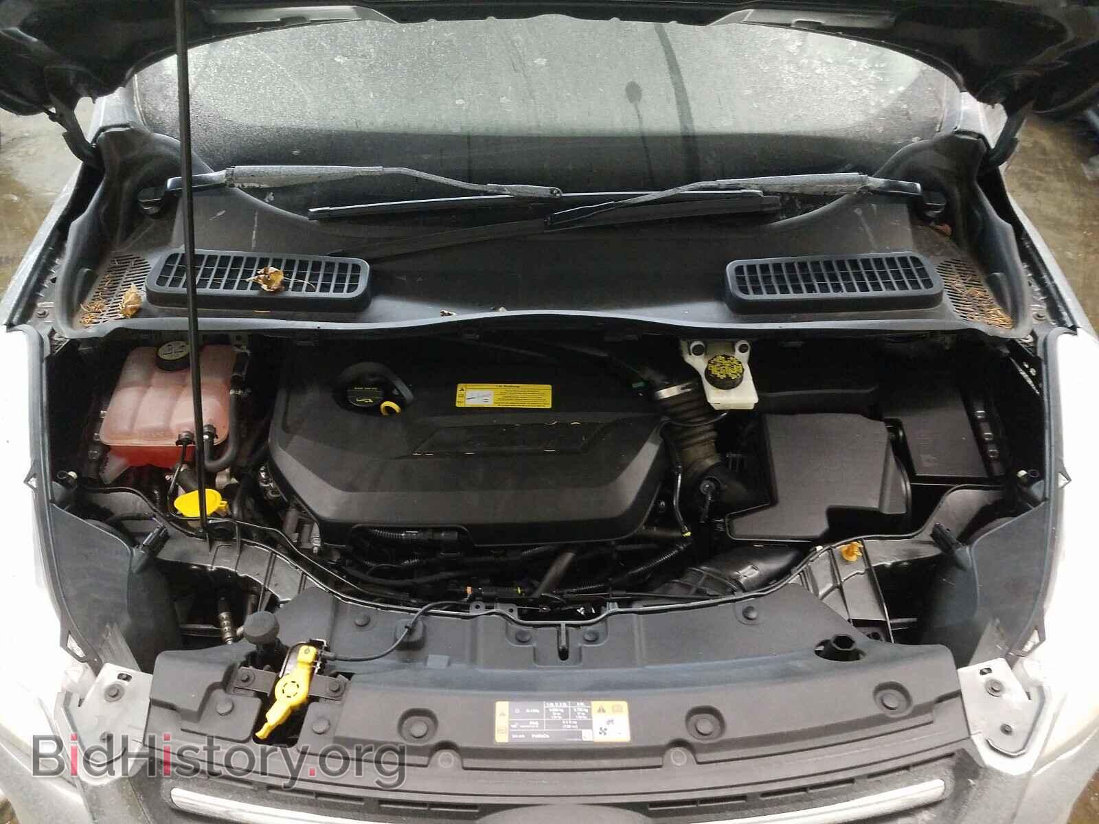 2014 FORD ESCAPE - VIN: 1FMCU0GX4EUB14289 - Фото 7