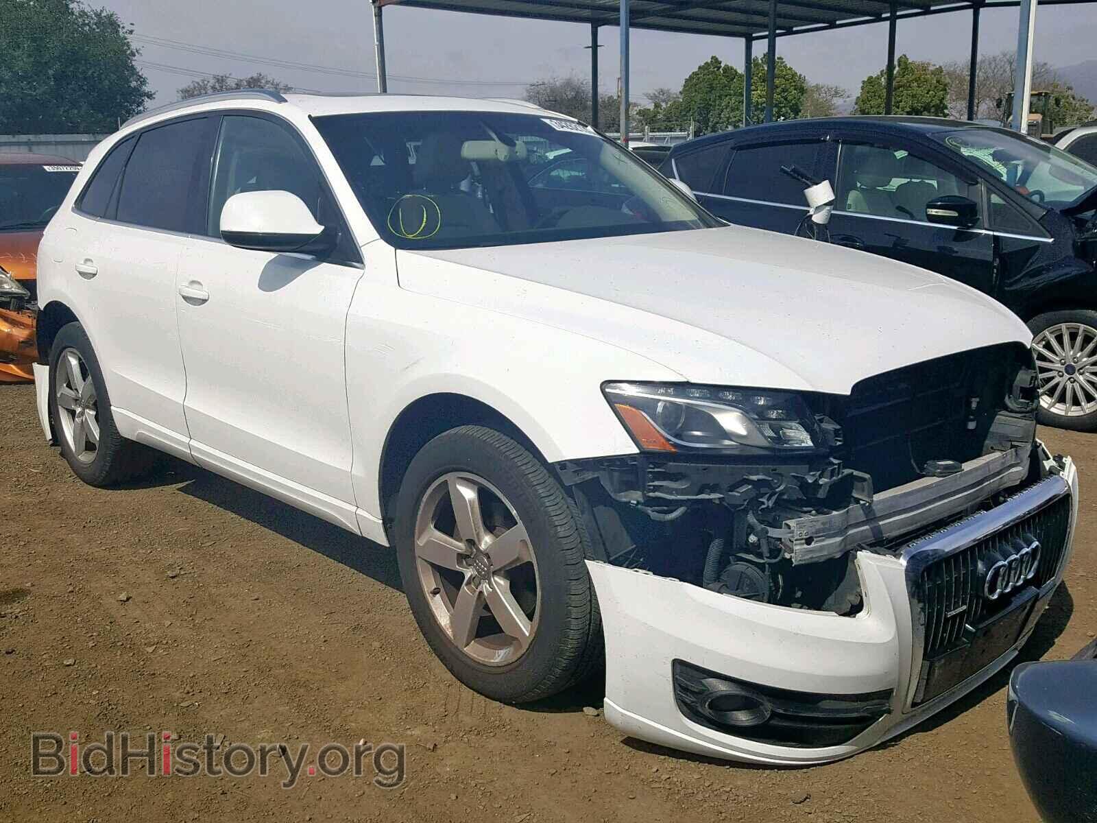 Фотография WA1LKAFP9AA101609 - AUDI Q5 2010
