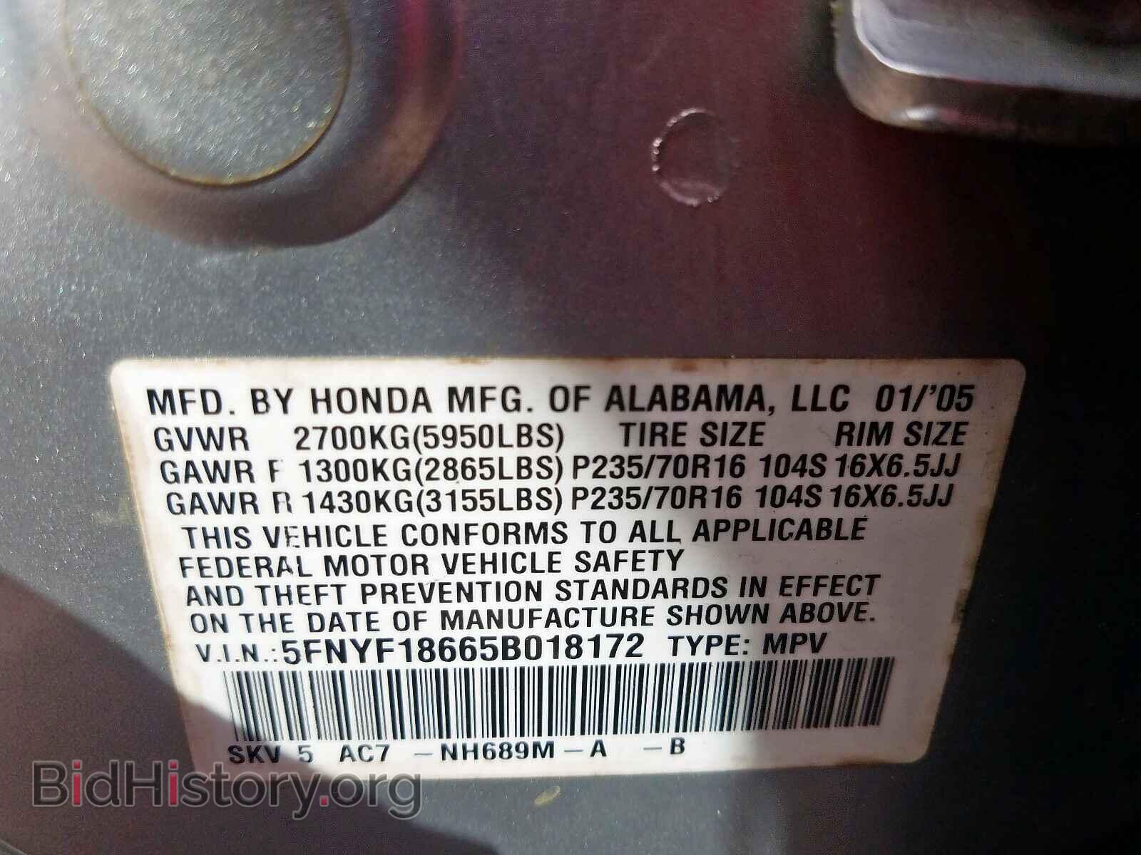 2005 HONDA PILOT - VIN: 5FNYF18665B018172 - Фото 10