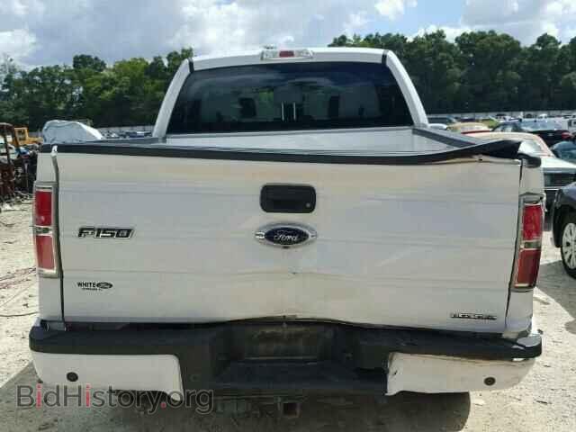 2014 FORD F150 - VIN: 1FTFW1EF6EFA08037 - Фото 10