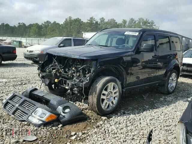 2011 DODGE NITRO - VIN: 1D4PU4GK4BW591065 - Фото 2