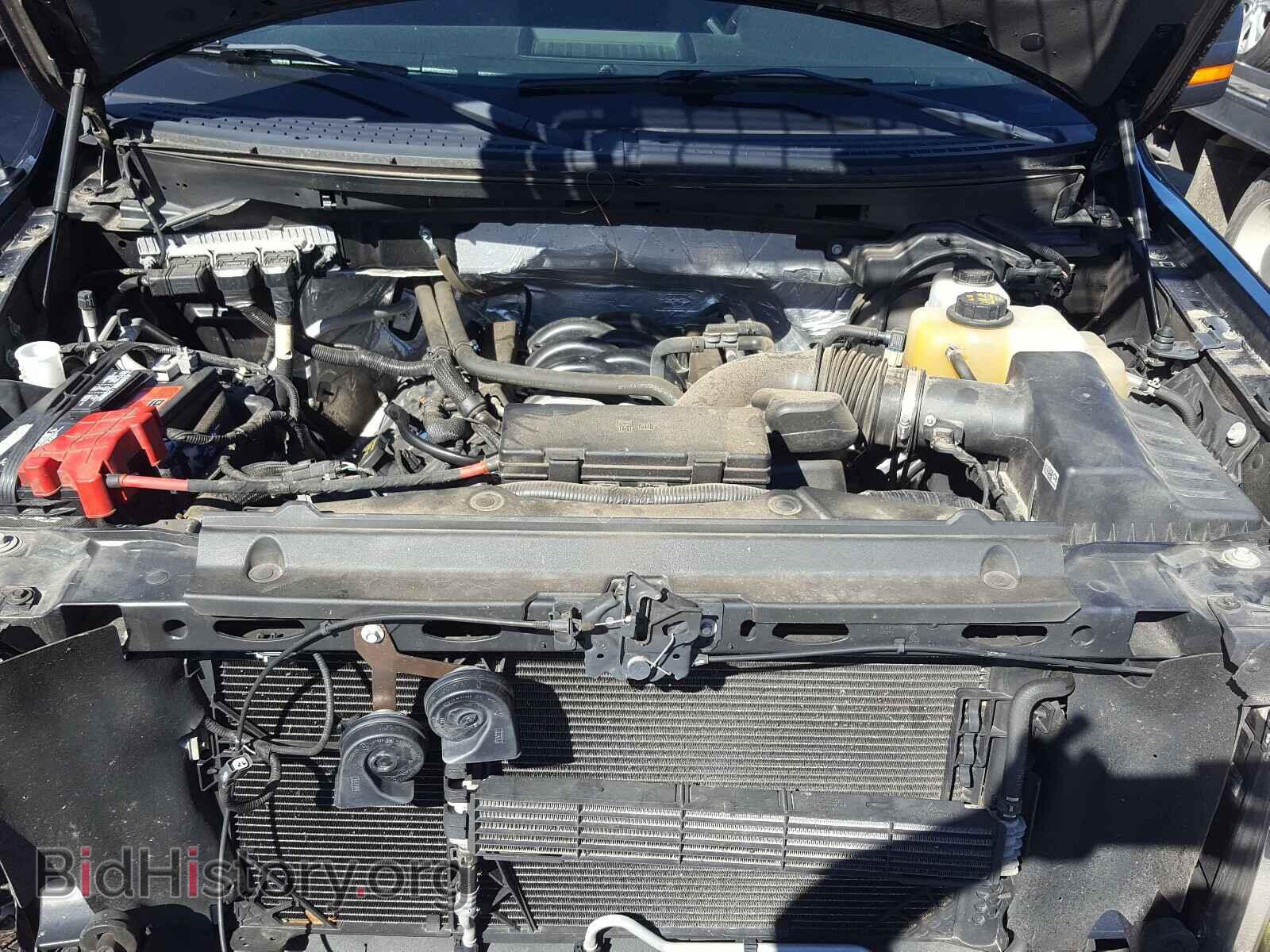 2013 FORD F150 - VIN: 1FTFX1EF6DFD47411 - Фото 7