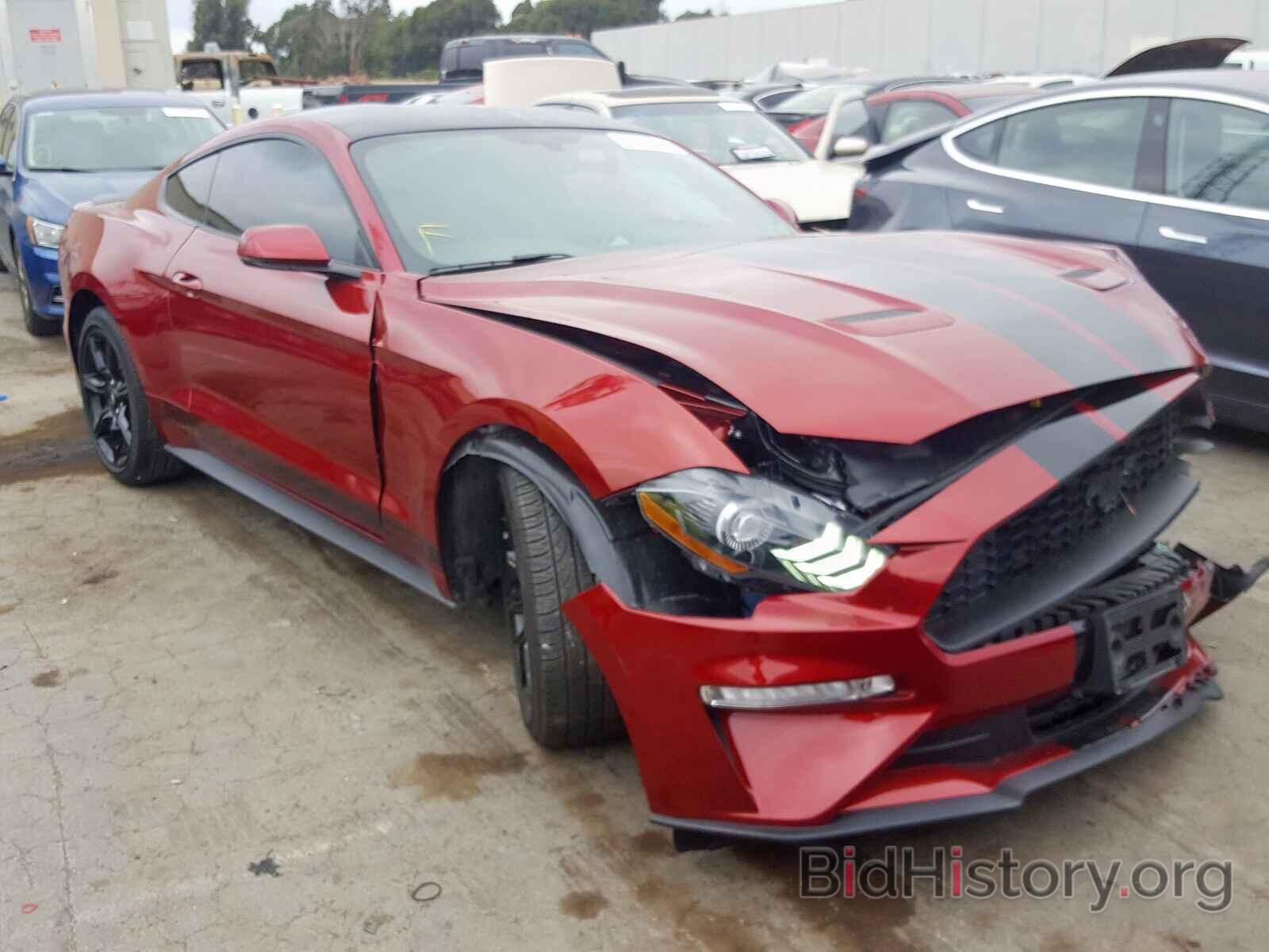 Фотография 1FA6P8TH1K5131102 - FORD MUSTANG 2019