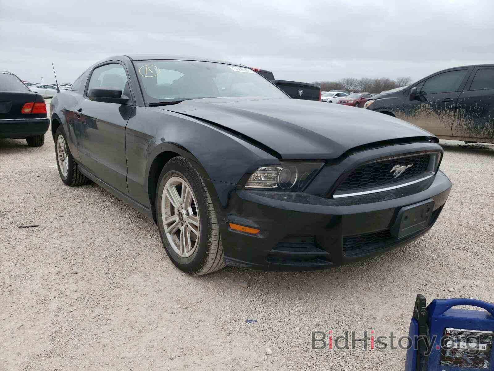 Photo 1ZVBP8AM3E5327682 - FORD MUSTANG 2014
