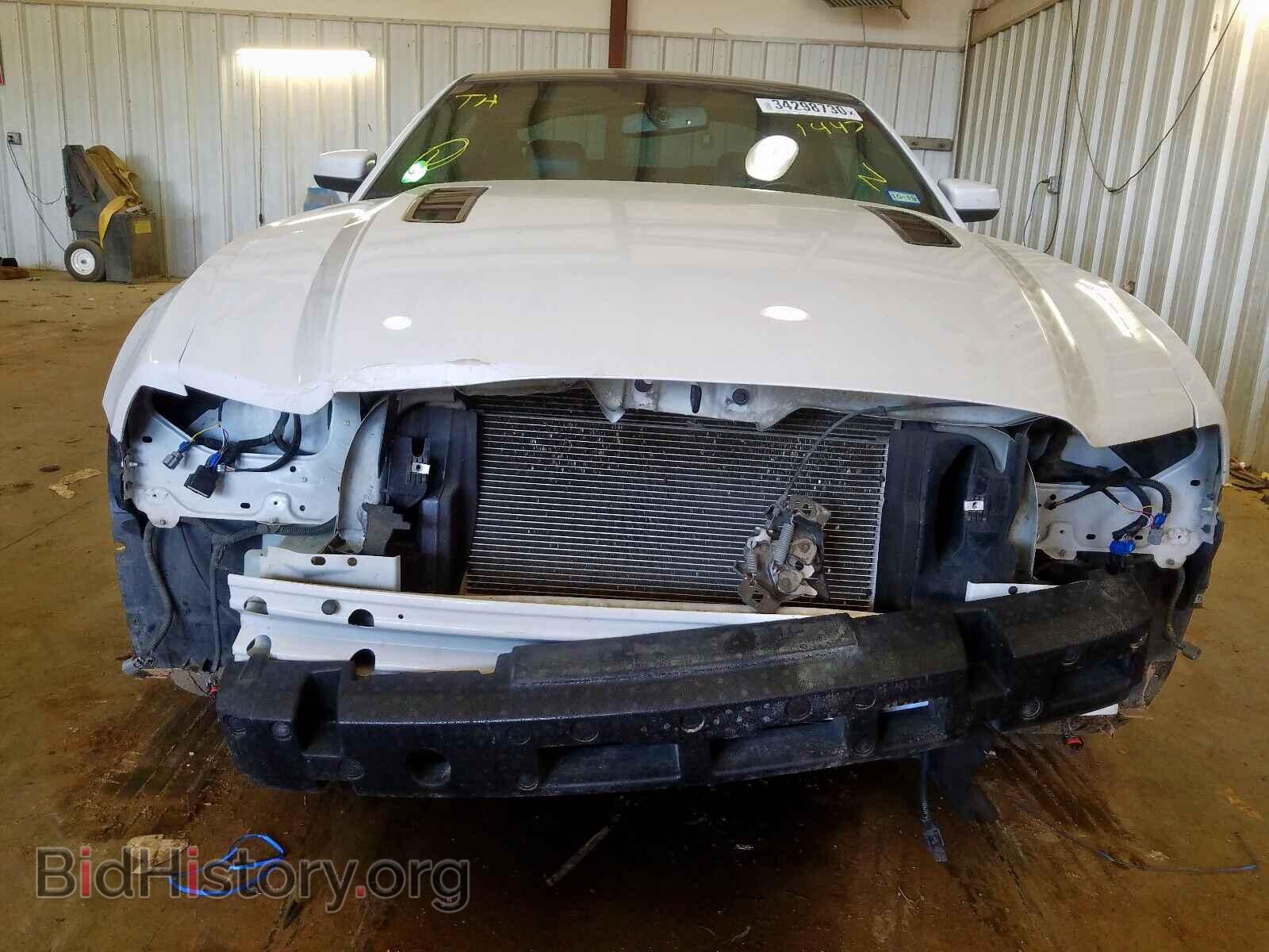 2014 FORD MUSTANG - VIN: 1ZVBP8CF5E5281447 - Фото 9