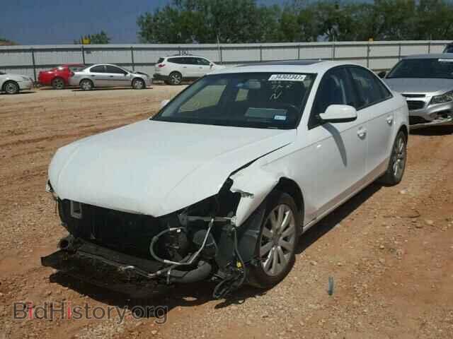 2013 AUDI A4 - VIN: WAUBFAFL0DN013187 - Фото 2