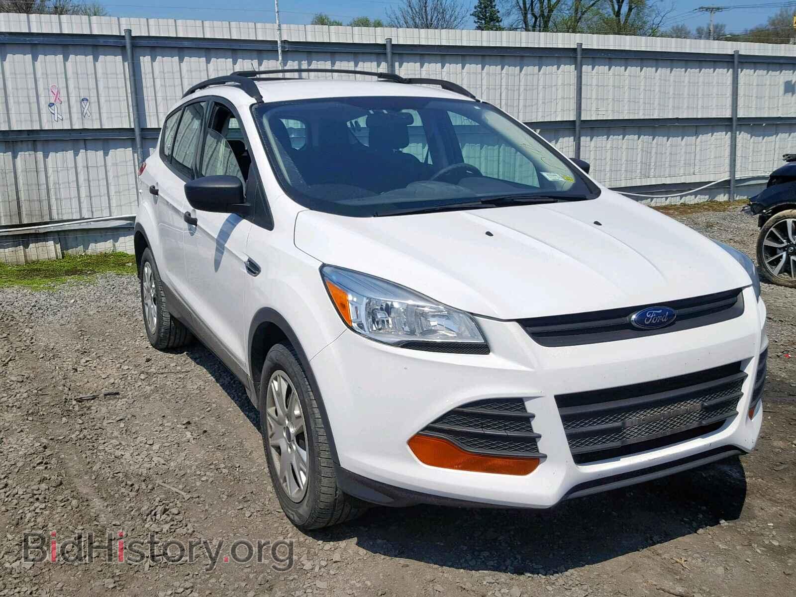 Photo 1FMCU0F78DUA51407 - FORD ESCAPE S 2013