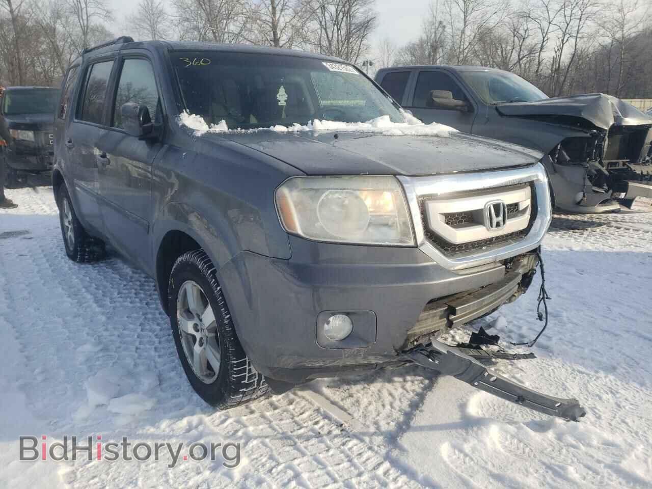 Фотография 5FNYF4H43BB025186 - HONDA PILOT 2011