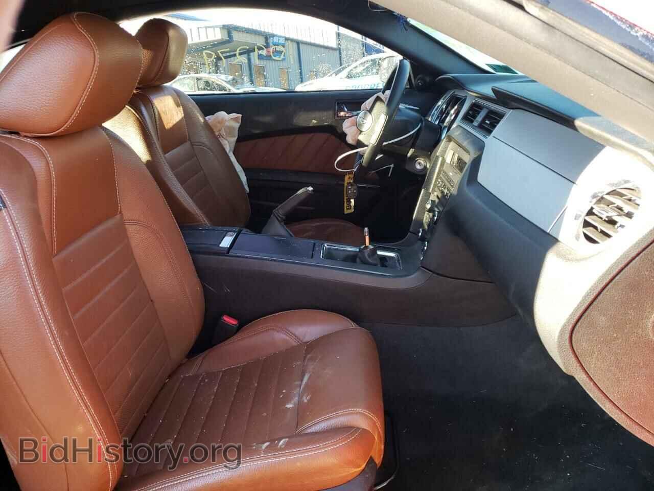 2011 FORD MUSTANG - VIN: 1ZVBP8CF0B5164905 - Фото 5