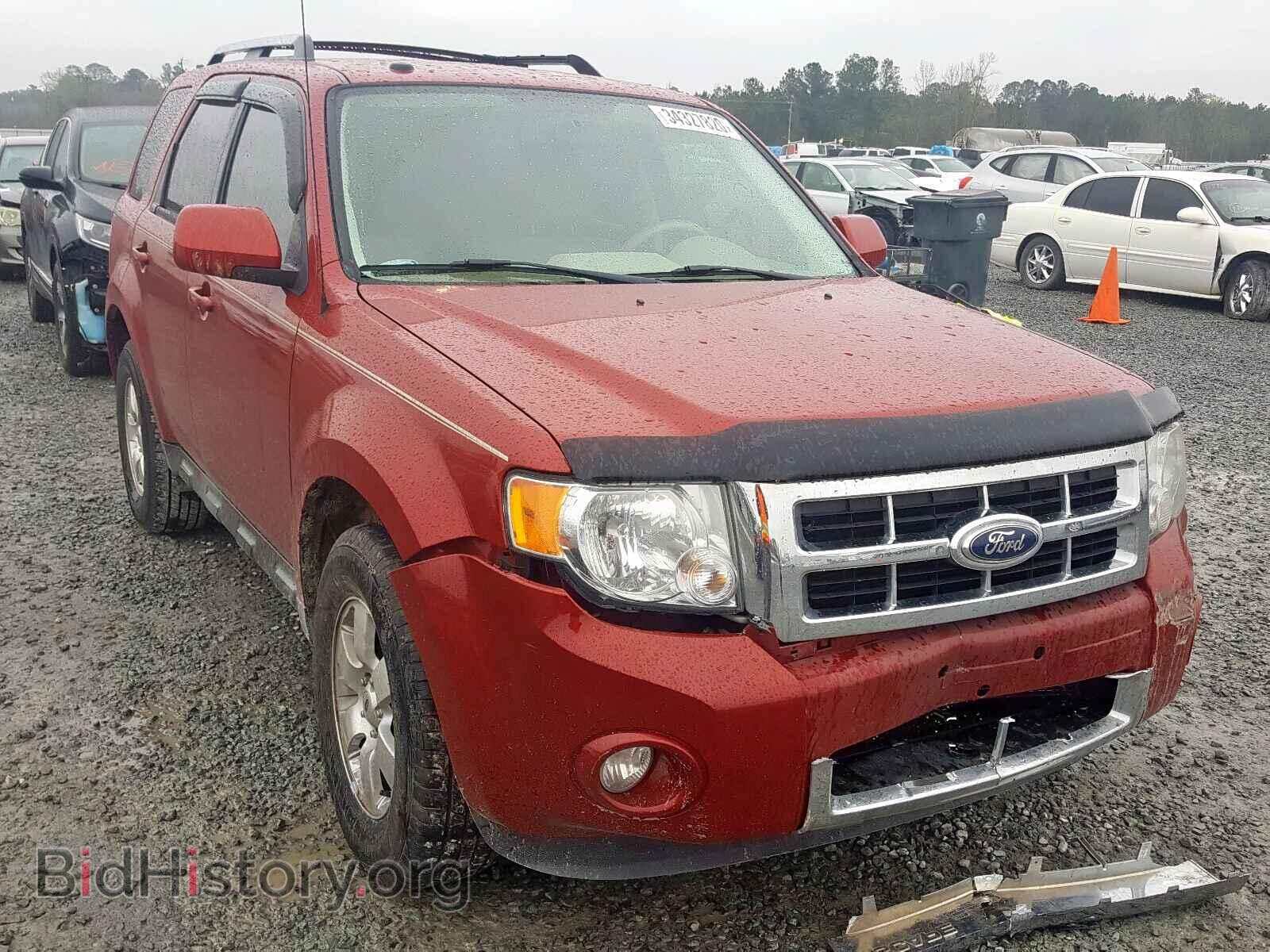 Photo 1FMCU0E71BKA52926 - FORD ESCAPE 2011