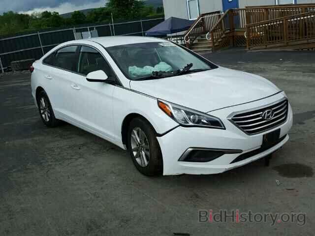 Photo 5NPE24AF3GH336569 - HYUNDAI SONATA 2016