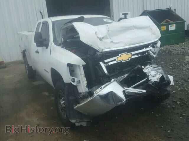 Фотография 1GB2CVCG1DZ238032 - CHEVROLET SILVERADO 2013