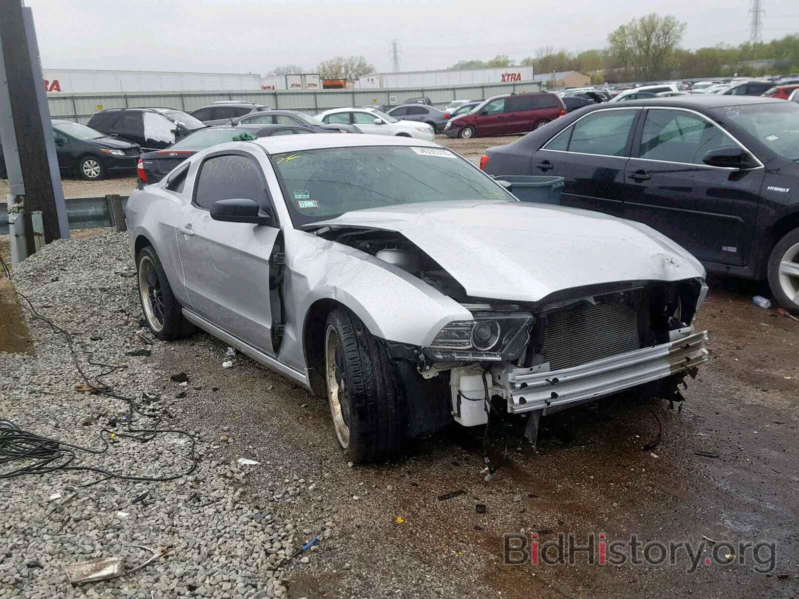 Photo 1ZVBP8AM8E5242918 - FORD MUSTANG 2014
