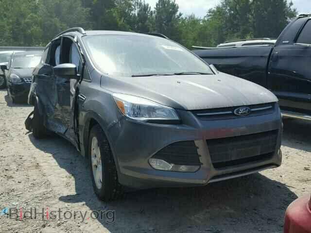 Фотография 1FMCU0GX1EUA83955 - FORD ESCAPE 2014