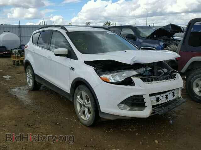 Фотография 1FMCU9GX4EUE15617 - FORD ESCAPE 2014