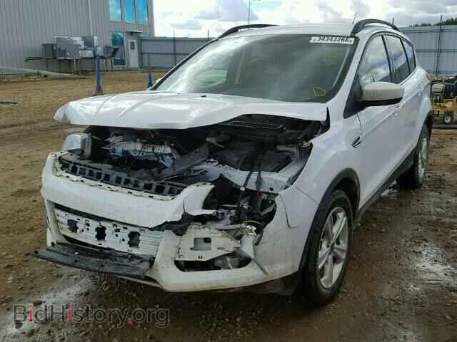 2014 FORD ESCAPE - VIN: 1FMCU9GX4EUE15617 - Фото 2