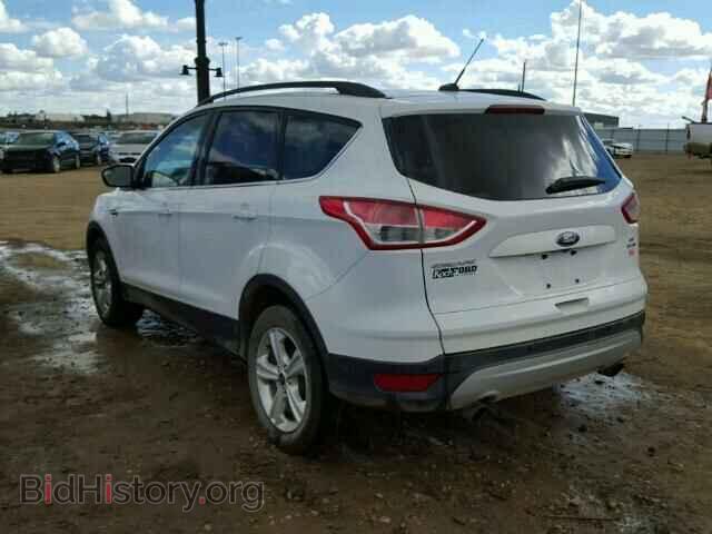 2014 FORD ESCAPE - VIN: 1FMCU9GX4EUE15617 - Фото 3