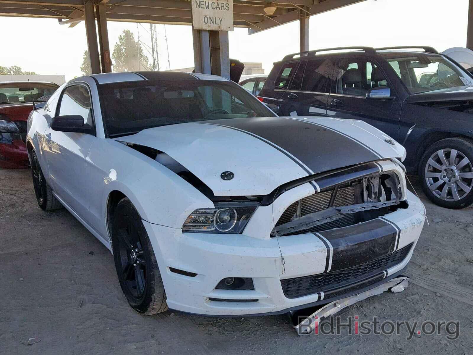 Photo 1ZVBP8AM3E5278726 - FORD MUSTANG 2014