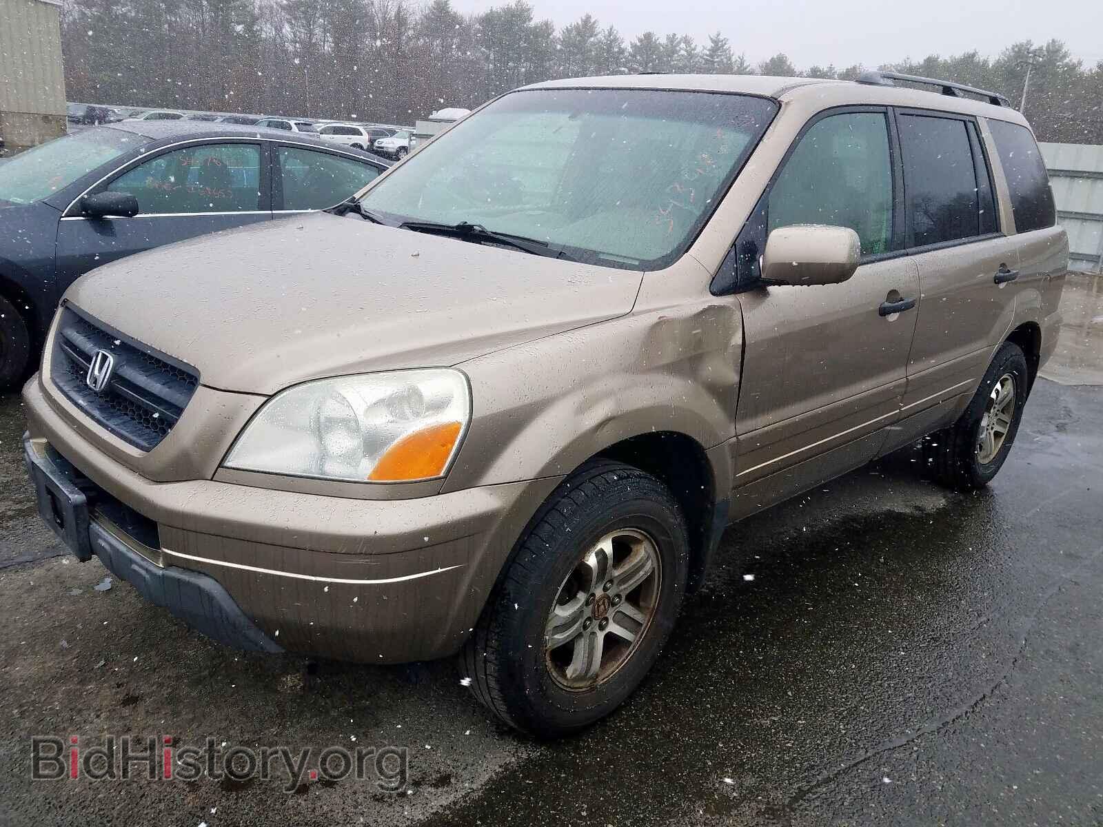 2005 HONDA PILOT - VIN: 2HKYF18425H511427 - Фото 2