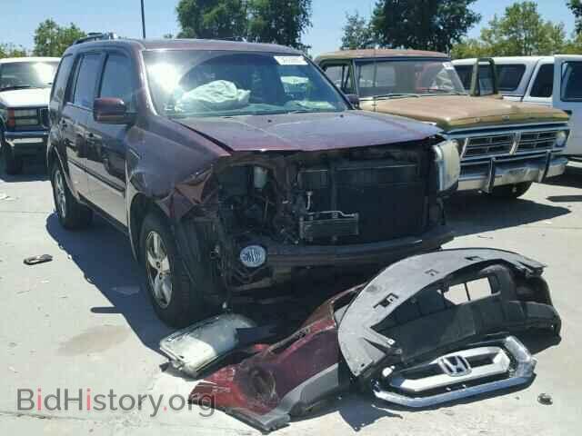 Фотография 5FNYF48659B023614 - HONDA PILOT 2009