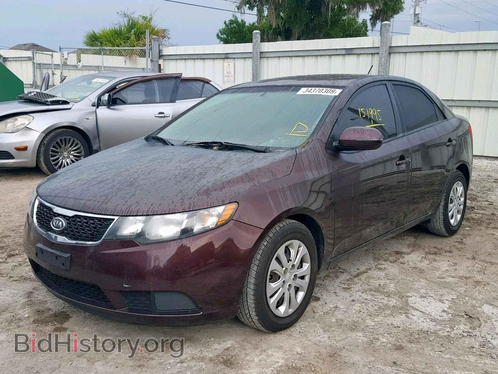 2011 KIA FORTE - VIN: KNAFU4A29B5368332 - Фото 2