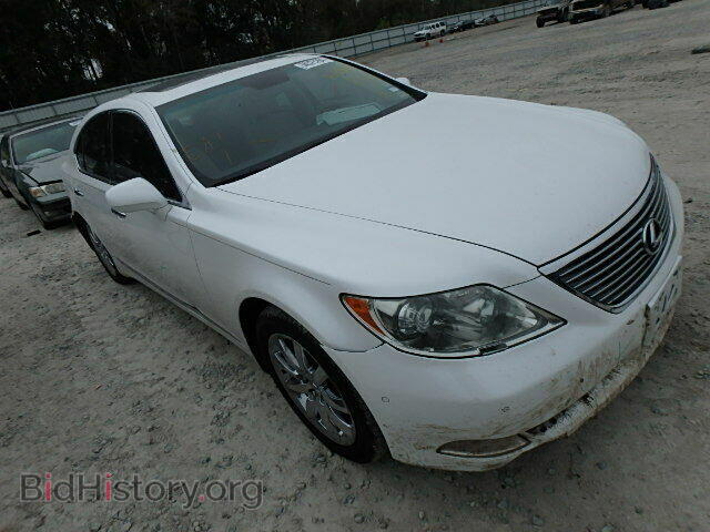 Фотография JTHBL46F985068832 - LEXUS LS460 2008