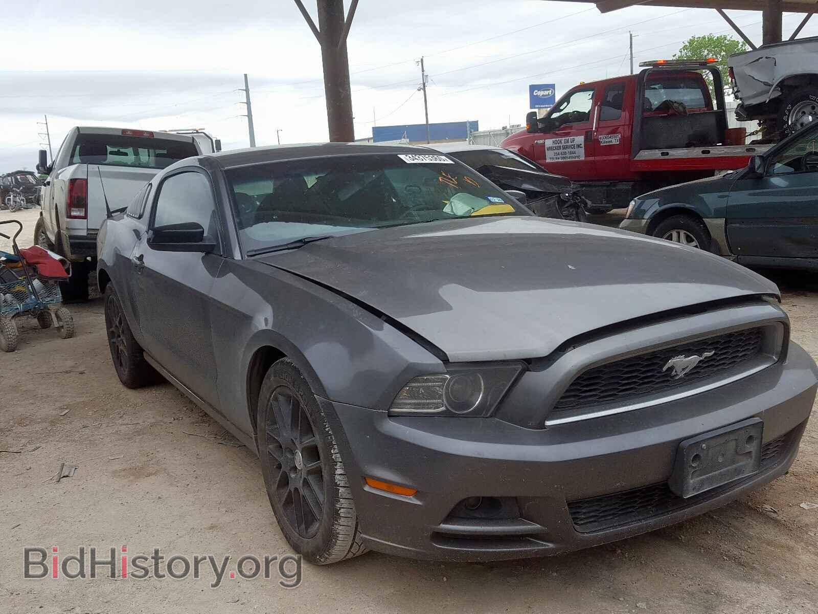 Photo 1ZVBP8AM4E5249929 - FORD MUSTANG 2014