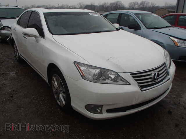 Фотография JTHBK1EG7B2438437 - LEXUS ES350 2011