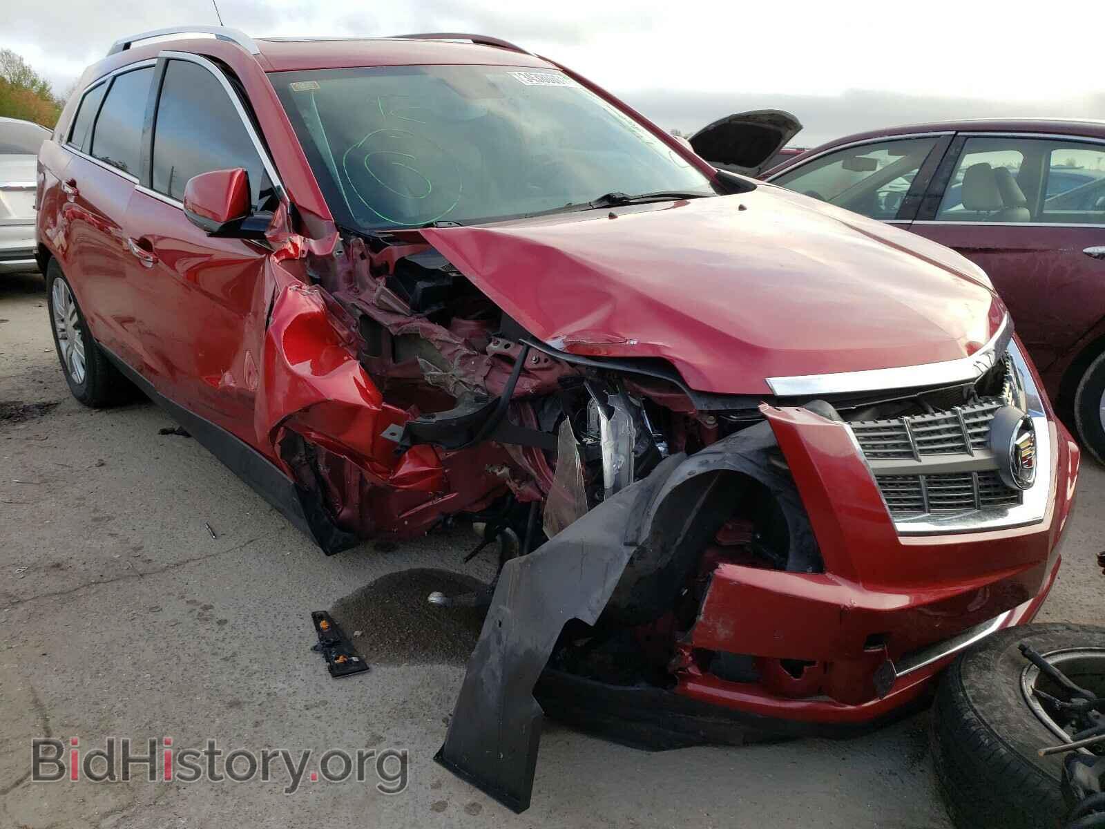 Фотография 3GYFNAEY3AS522237 - CADILLAC SRX 2010