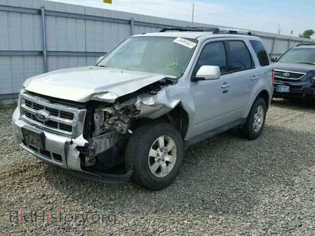 2011 FORD ESCAPE - VIN: 1FMCU9EG6BKC54651 - Фото 2