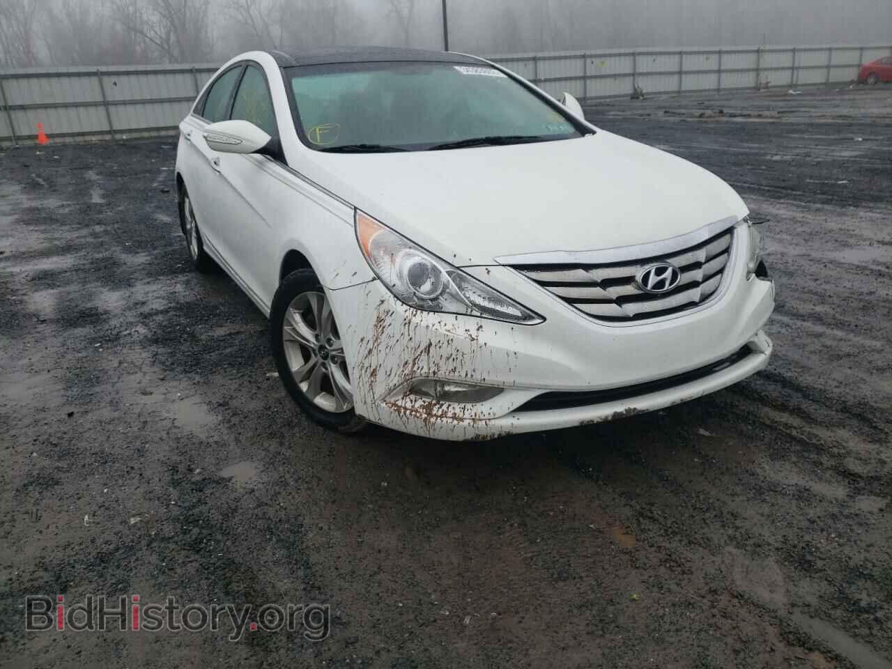 Фотография 5NPEC4AC9DH609657 - HYUNDAI SONATA 2013