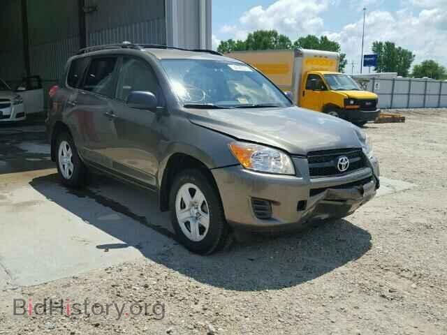 Фотография 2T3BF4DV3BW144497 - TOYOTA RAV4 2011