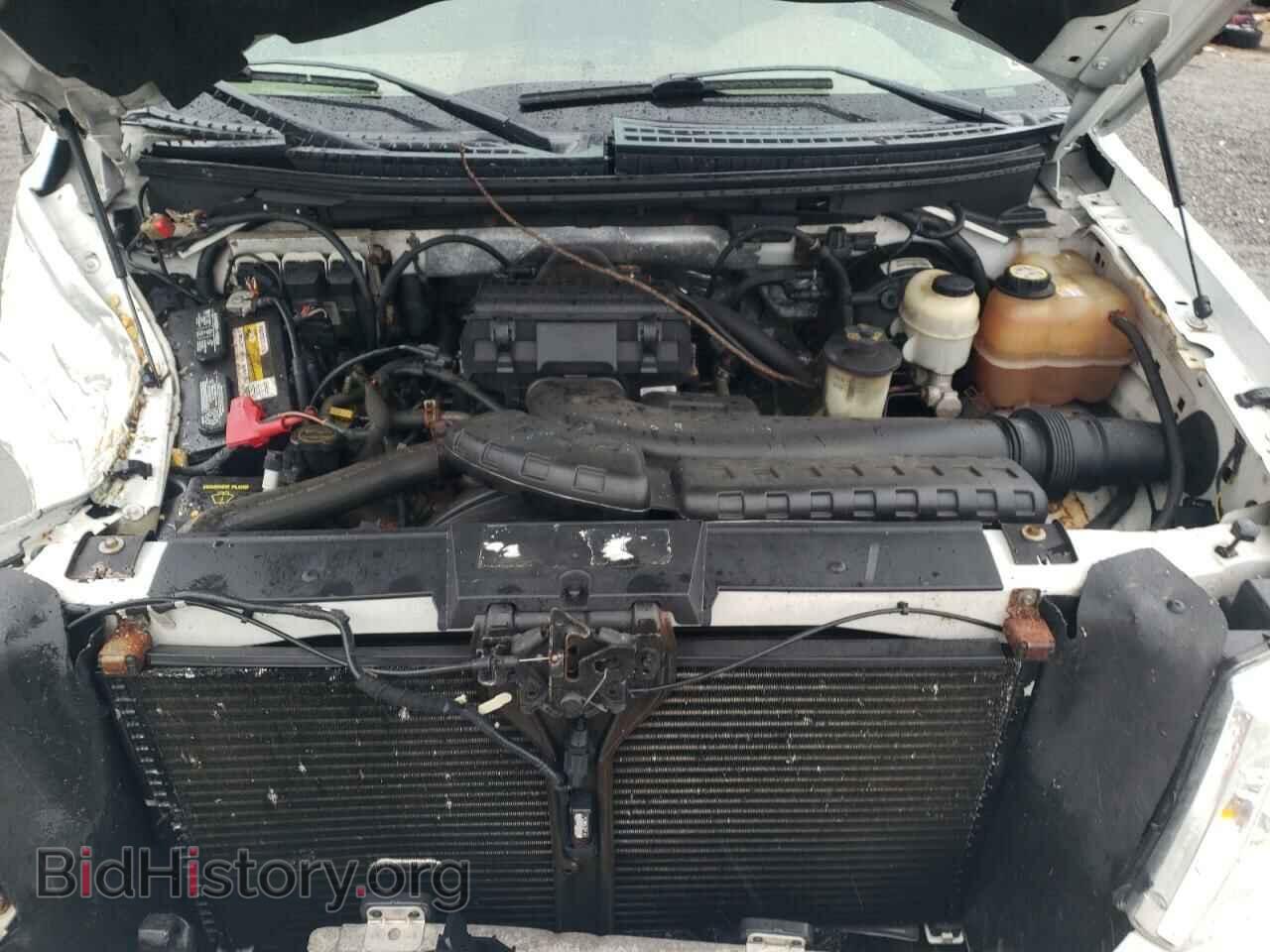 2007 FORD F150 - VIN: 1FTPX14V57FA62832 - Фото 7