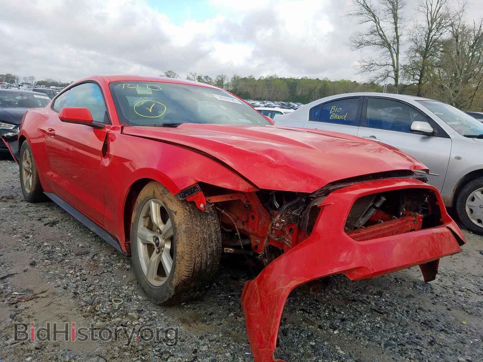 Photo 1FA6P8AM1H5226378 - FORD MUSTANG 2017